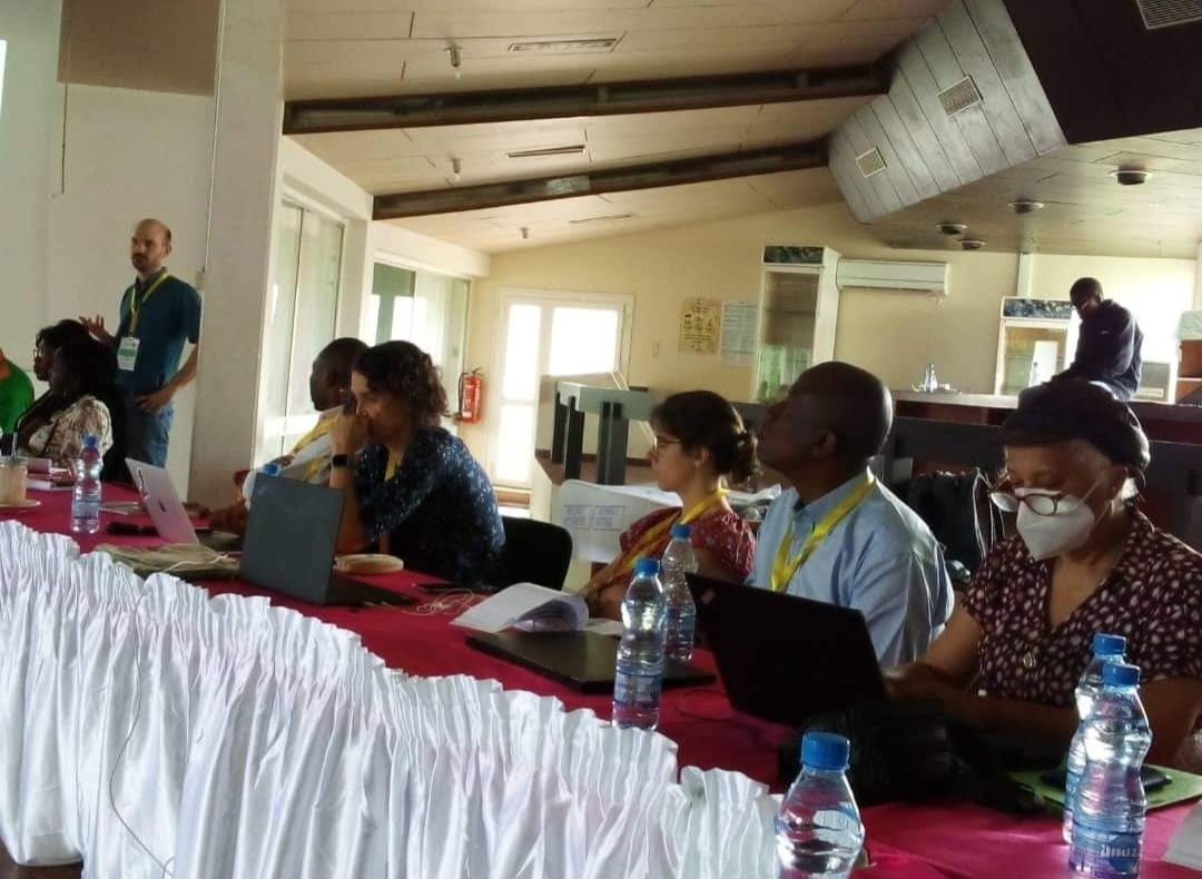 Screenshot_20221125-001335_Facebook