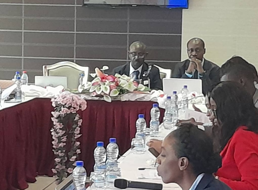 Screenshot_20221124-235646_Gallery